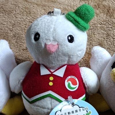 『行政書士受験』🐰明るい未来は自己決定と自己実現🌸