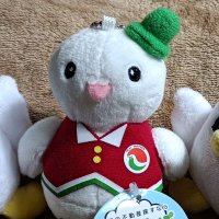 『行政書士受験』🐰明るい未来は自己決定と自己実現🌸