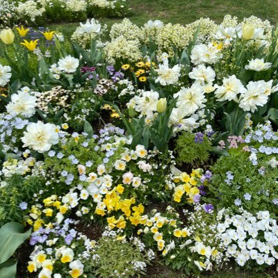 ハル/webデザイン3月期生