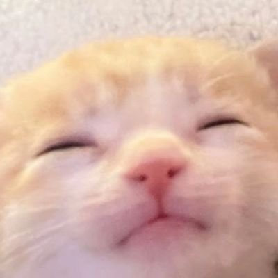 ✌️✌️🌈✨🍃🌾🍀✌️✌️ พข. 🍓