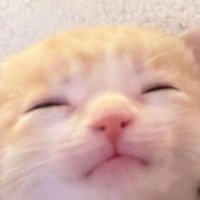 ✌️✌️🌈✨🍃🌾🍀✌️✌️ พข. 🍓