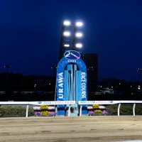 偽日本地方競馬(NRA)