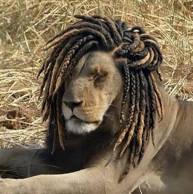 The Lion ✮ Item Songs Enthusiast