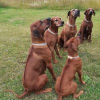 🇪🇸🇩🇪Fernando B. F .