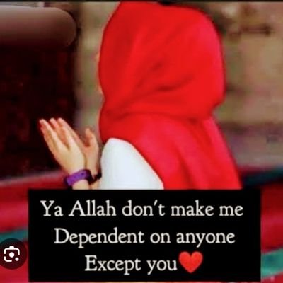 Ilham🇳🇬🇵🇸♥️