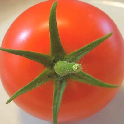 KTという現象🌏