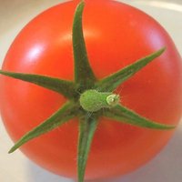 KTという現象🌏