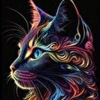 Sokak Adamı (yeni hesap)