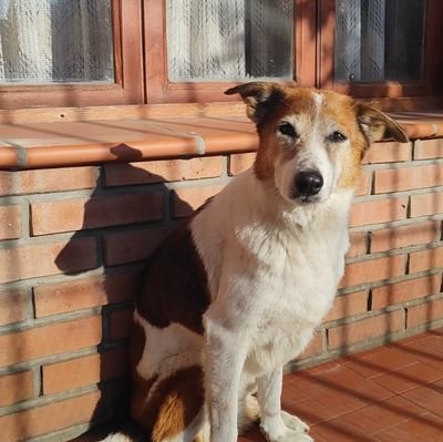 Jimena Torres ⭐️⭐️⭐️