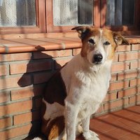 Jimena Torres ⭐️⭐️⭐️