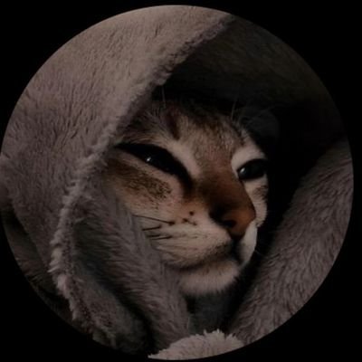 Nicky_Gems004🚀🚀💎