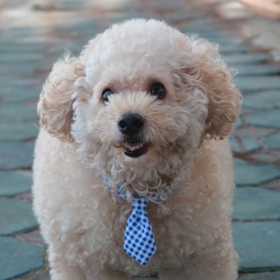 As_น้อย Lingorm 💜 ONLY