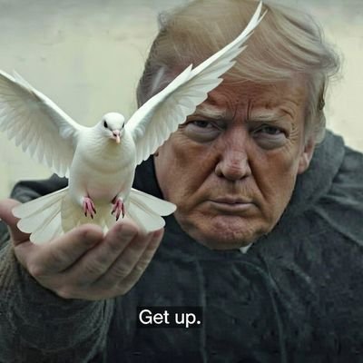 Sole deo gloria 🌺🌻🐛🪷🐞