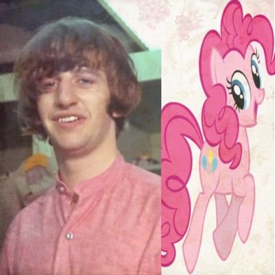 ━ ֹ ۪ ꭈׁׅι𝘤𝗁𝖺𝗋𝖽ﱣ ۪ !͟//𝗿𝗂݊ꪀܻᧁׁo ꩇׁׅ֪݊aniac