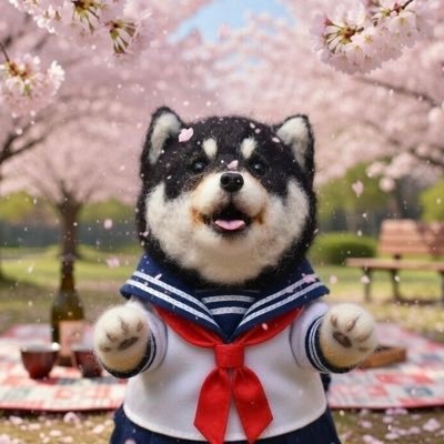 わかちゃん【神出鬼没のアーティスト】