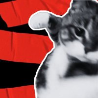 Eli ᴬᴿᴵᴿᴬᴺᴳ ♥️ ⊙⊝⊜