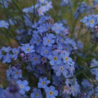 Kanario Art 🇨🇱🖌️🖍️ OPEN COMMISSIONS‼️