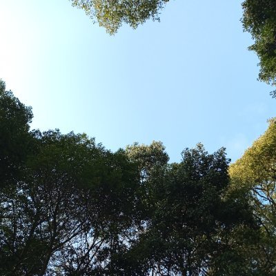 サム　無理しないでね　生きてるだけでえらい　双極性障害　パニック障害　脱臼した小指治療中