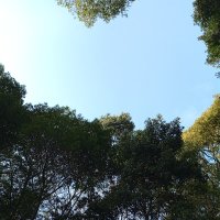 サム　無理しないでね　生きてるだけでえらい　双極性障害　パニック障害　脱臼した小指治療中