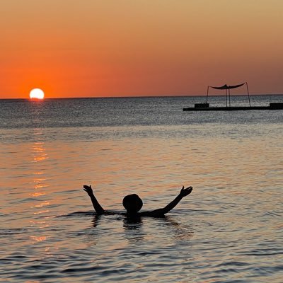 James Simmons FCILT ESLog