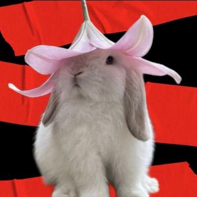 Bambi⁷🍪|| 아리랑 🪭