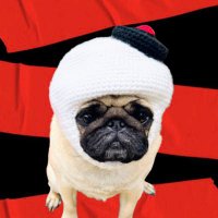 PugSmore⁷ ᴬᴿᴵᴿᴬᴺᴳ 💜