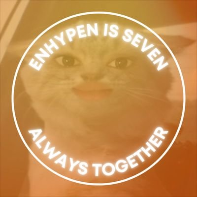 gaelic⭒ ENHYPEN IS 7