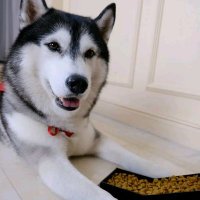 Jack&Kelly👱🏻‍♂️🦮