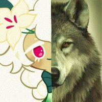 space 🪐ᯓ★ |WHAT