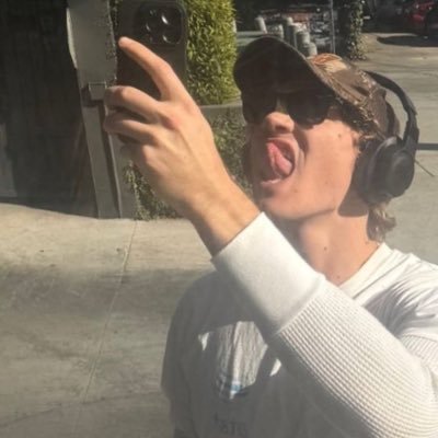 stupid canadian wolf bird