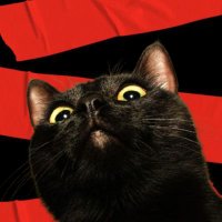 ☆.•°Yu-An⁷🪭FYA🪭2.0🪭⊙⊝⊜°•.☆