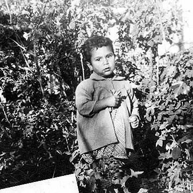 Devrime Sürüklenmiş Molotof Kokteyli