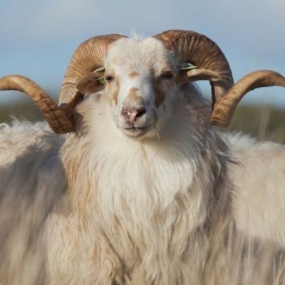 abrams i want you ๐ C0MMS OPEN