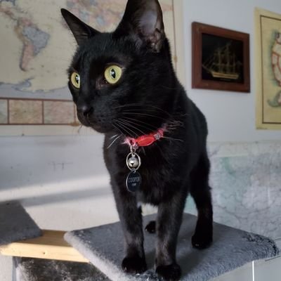 📼💿The Movie Guy💿📼