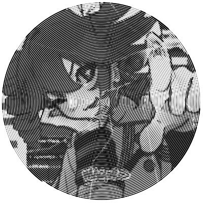 Bicho (tetofication)