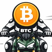 MASKED_N/BTCオンチェーン分析