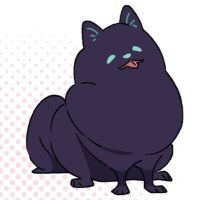 ポ・メラニアン『るーみぃず』