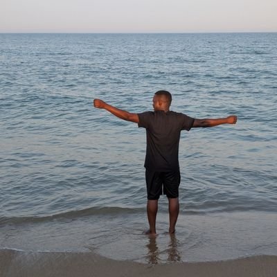 Pilgrim (A.R Martins)