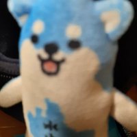 愛知県名古屋の車運転の癖わかりました　事実愚痴です