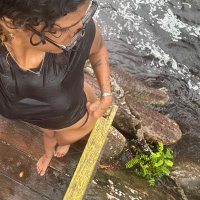 Tilambucanaamazonense