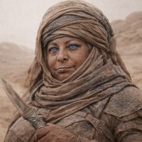 buddyFaria 🇵🇸 DUNE PART THREE ERA