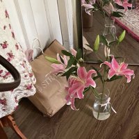 reva ‎‎⊹ ࣪ ˖୨ৎ‧