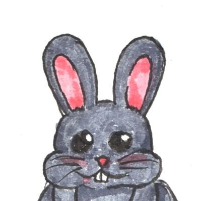 Bunny🐰320BC