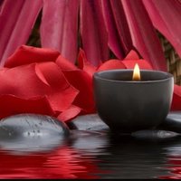 Cristina 🍁🐿🧝‍♀️