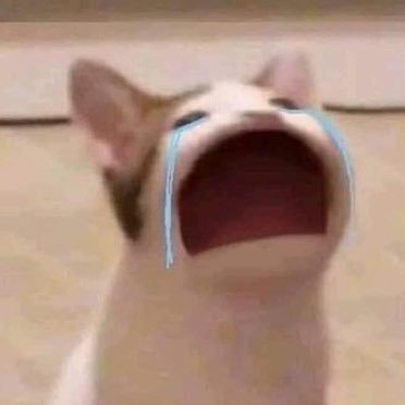 ꒰ 𝑐𝑦𝑛𝑚𝑜𝑛𝑤𝑐𝑎𝑘𝑒 🍰 ꔛ • ˚ ˚₊ ꒱