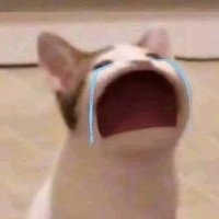 ꒰ 𝑐𝑦𝑛𝑚𝑜𝑛𝑤𝑐𝑎𝑘𝑒 🍰 ꔛ • ˚ ˚₊ ꒱