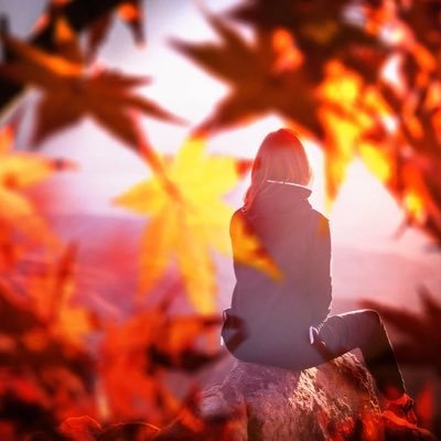 Fräulein Meyer macht Schule