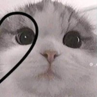 𝙷𝙰𝙽𝙰🎼🍍