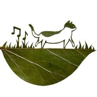 銀花/•᷅•᷄\୭୭︎︎☁🎈