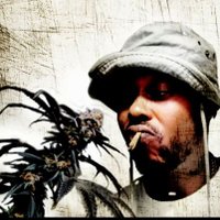 Elveedro🎖🔊🌴